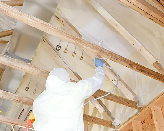 Ignition barrier coating for insulation